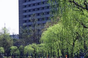 千葉でマンスリーマンションをお探しなら
