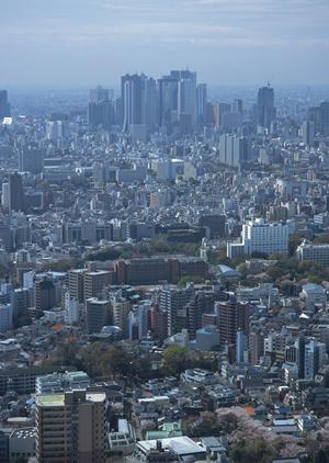 リノベーションの施工依頼はここに出そう